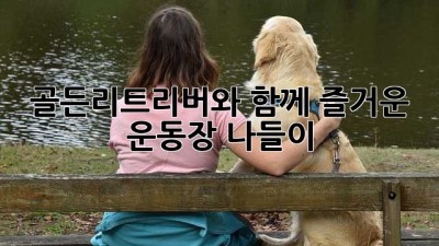 골든리트리버와 함께 즐거운 운동장 나들이